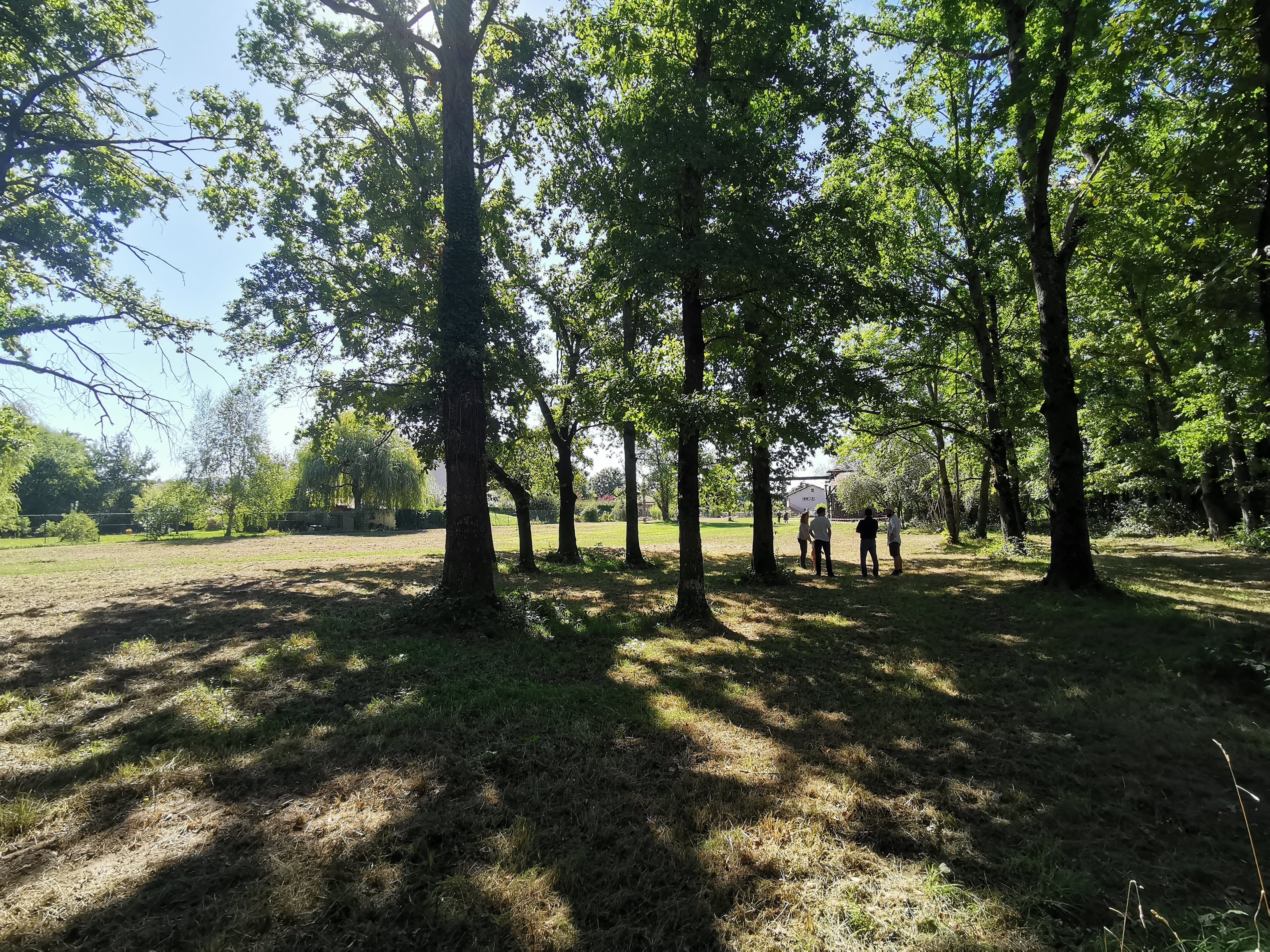 Vue du terrain 4